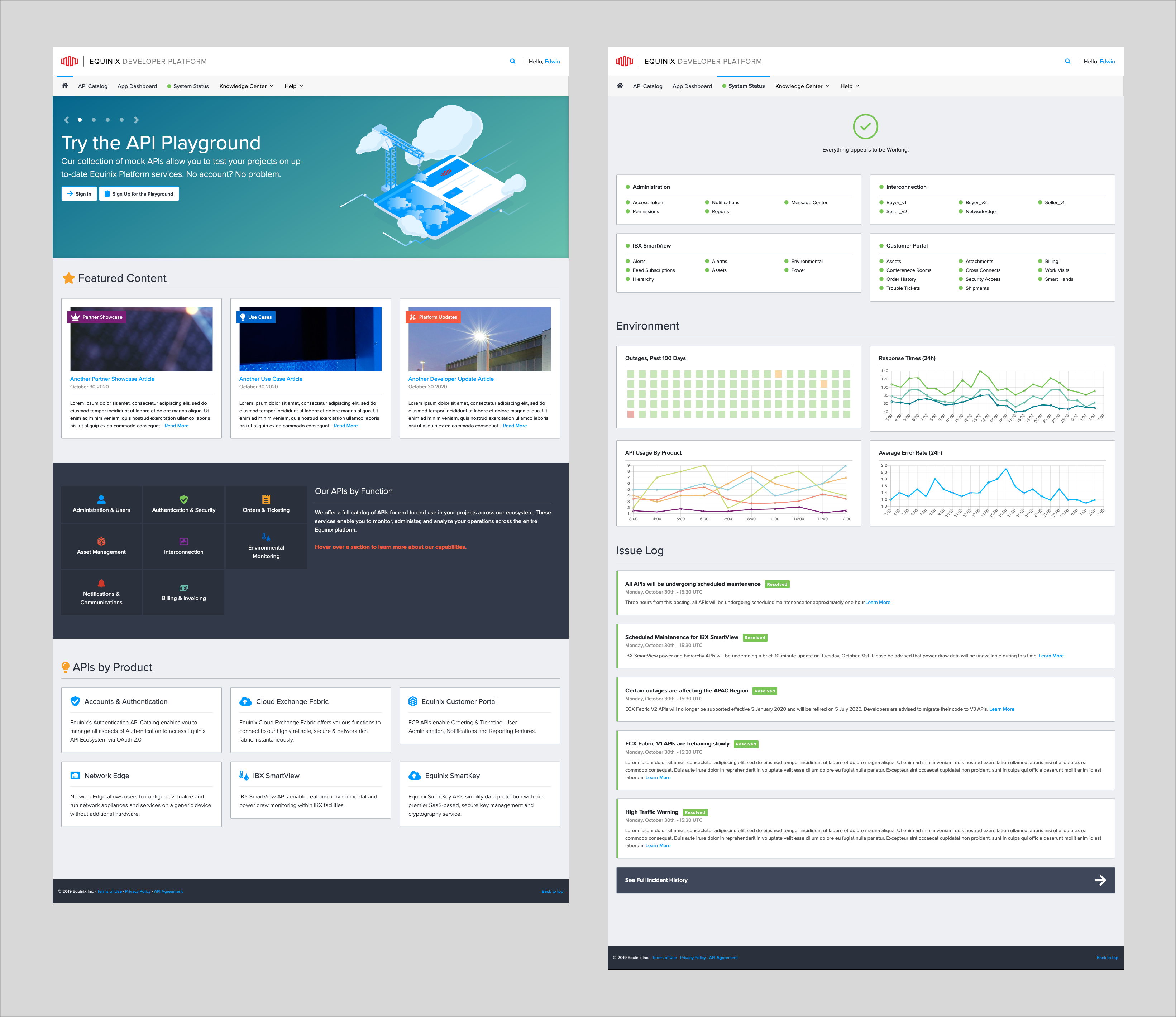 Developer Portal Home and Platform Status